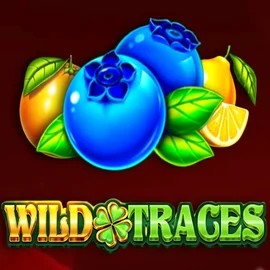 Wild Traces casino game by Amusnet Interactive – featured logo at SpinLander Casino